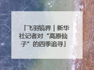 飞羽镜界｜新华社记者对“高原仙子”的四季追寻